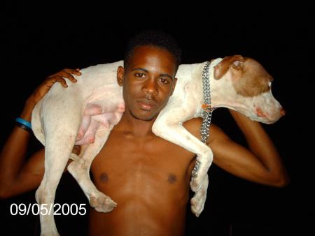 serpent avec son doudou