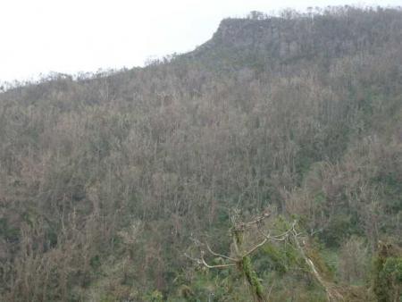 la montagne du vauclin